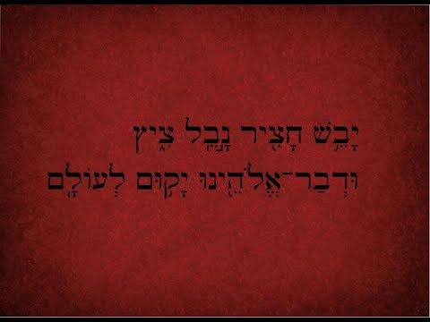 2024 02 07 Exodus 2.1-10 Out of the Waters