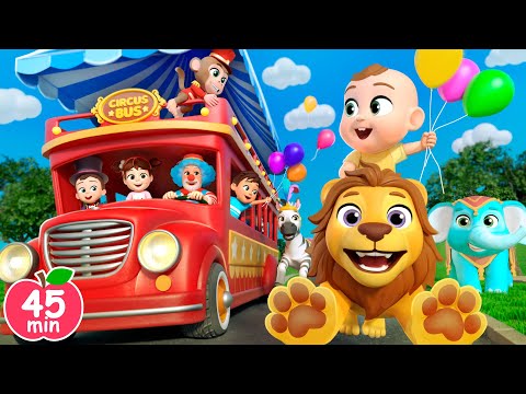 Wheels on the Circus Bus + More Lalafun Nursery Rhymes & Kids Songs