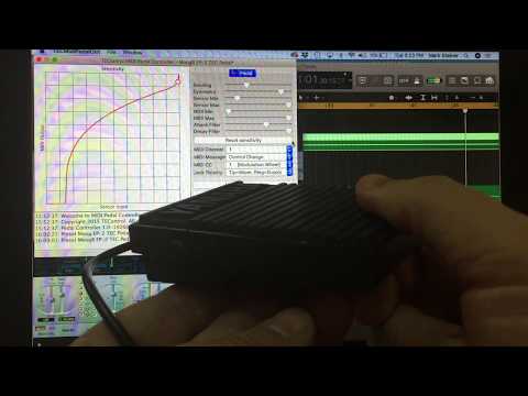 TEControl USB Midi Pedal Controller DEMO - Mark Steiner