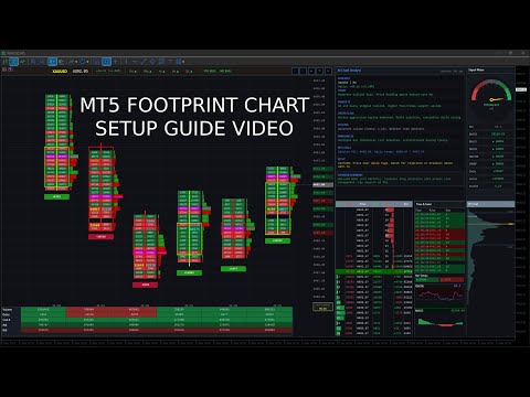 Video Order flow footprint chart