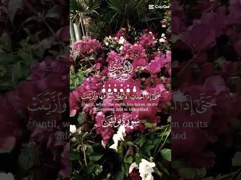 Good morning #recitation #tilawat #quran #shortsfeed #beautiful #flowers @Arifa from Germany Vlog.