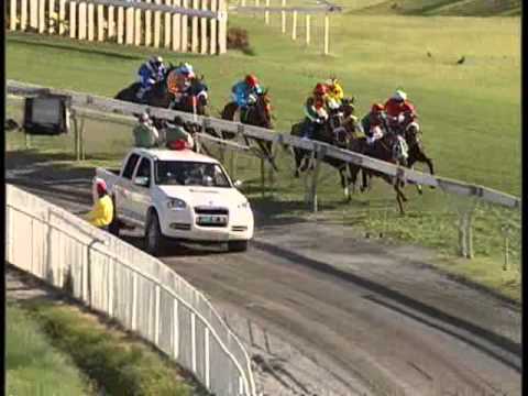 La course intégrale de la DUCHESS OF YORK CUP 2011