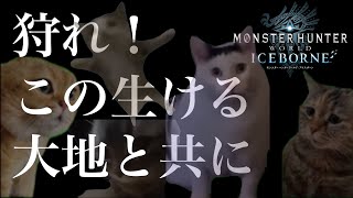 🔴【MHWI】参加ご自由に。まったりアイスボーン。