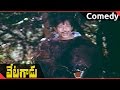 Vetagadu Movie Nagesh NTR Teasing By Sridevi Comedy Scene NTR Sridevi