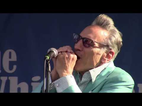 Rick Estrin & The Nightcats - Off the Wall/The Main Event