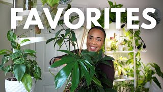 November Favorites 2024|| Don't forget about these plants