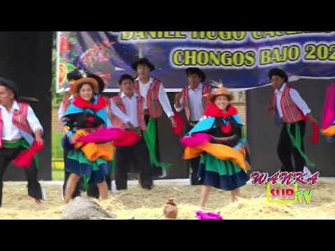 Trillay Huaylarsh Palmayoc Canipaco - Chongos Bajo 2023