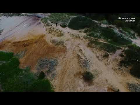 Nationalpark Vadehavet - Marbækområdet