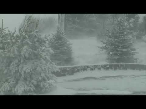 Epic Snowstorm | Howling Blizzard Sounds | Heavy Wind & Snow | Perfect Sounds For Sleep