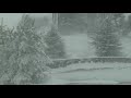 Epic Snowstorm Howling Blizzard Sounds Heavy Wind Snow Perfect Sounds For Sleep