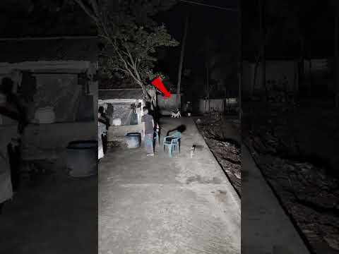 #ghosthunting #ghosts #ghoststories #horrorstories #paranormal #ghost