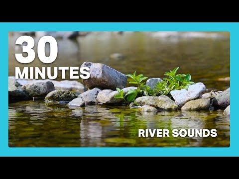 Relaxing River Sounds for Studying (No Birds) | 30 Minutes of Relaxing River Sounds