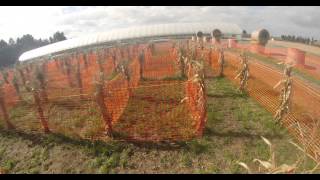 preview picture of video 'rope maze at Bauman's Farm and Garden, 4k'