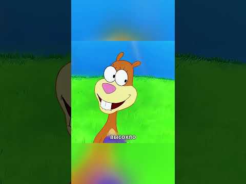 Губка Боб попадает в купол Сэнди и начинает высыхать! 😱 #shorts