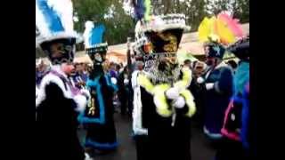 preview picture of video 'Baile de Chinelos en Cambio de Mayordomía del Niñopa en Xochimilco, 2012.'