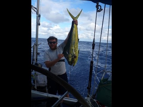 Slick's Atlantic Crossing, Part 3, Days 12-18