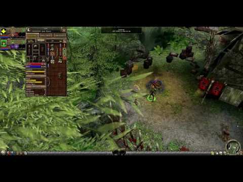 Dungeon SIege 2 SPEEDRUN - ONLY MAGES, ALL QUESTS (PART 1: Northern Greilyn Jungle)