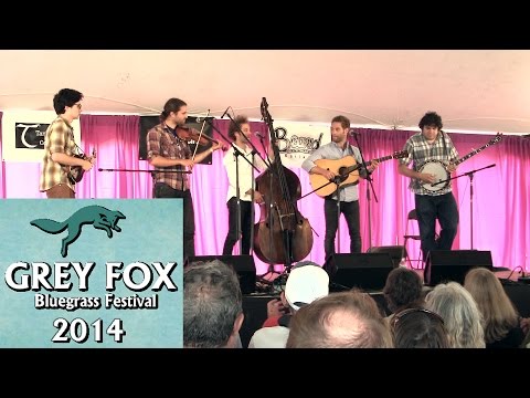 Lonely Heartstring Band - "You Can Have Her" - Grey Fox 2014