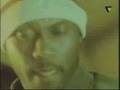 rza & masta killa - brooklyn babies
