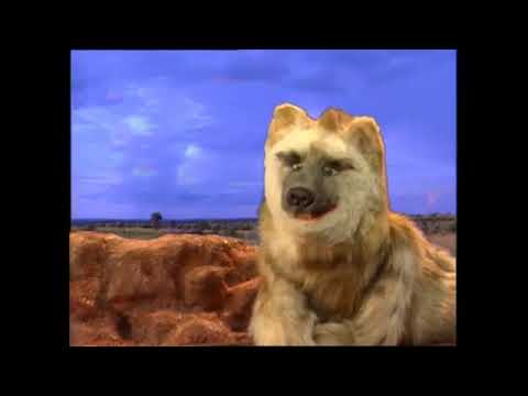 Miguel (Dumbo) Part 15 - The Queensland Grouper Song/Miguel Gets The Hiccups/The Bucket