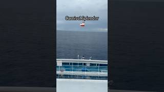 Carnival splendor Cruise 🚢 #carnivalsplendor #cruise #travelvlog #sydneytravelguide #shortsviral