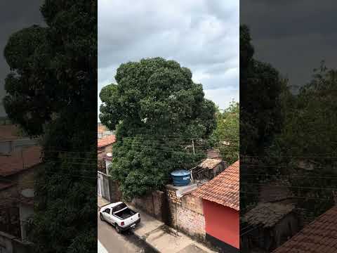 Academia auro fit em Santa Helena Maranhão 