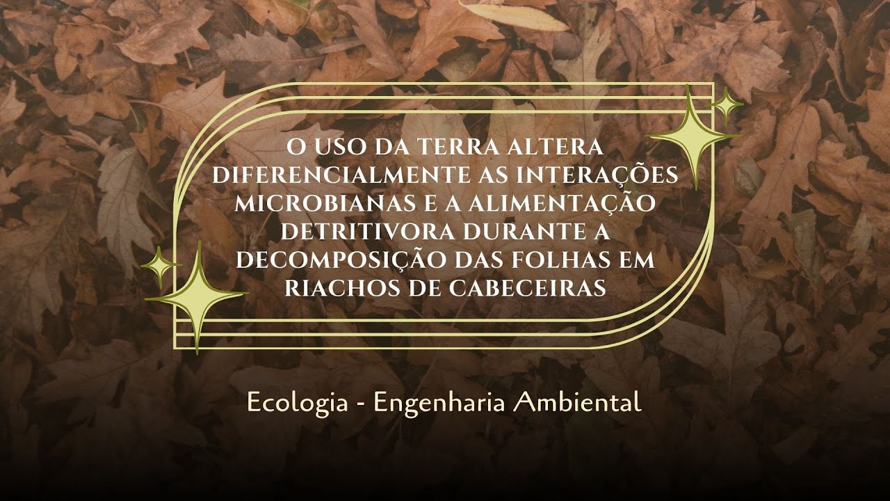 Decomposição microbiana e alimentação detritívora