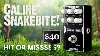 Video thumbnail for Why I Bought...Caline Snakebite Reverb! by Derek Paul Guitar