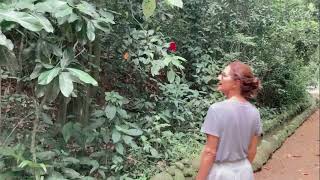 Eveline Hecker - Ao Redor