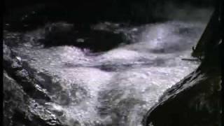 Terra - Ambient Music & Natural Splendor