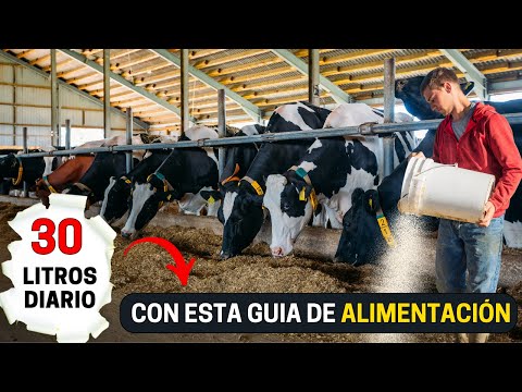 , title : 'Así es la dieta de una vaca lechera: Guía para la alimentación y nutrición del ganado lechero.'