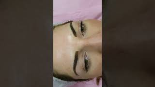 Eyebrows Density Microblading by El Truchan @ Perfect Definition