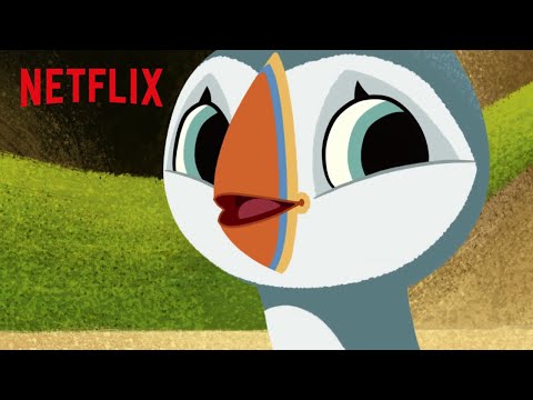 Find the Owls | Puffin Rock