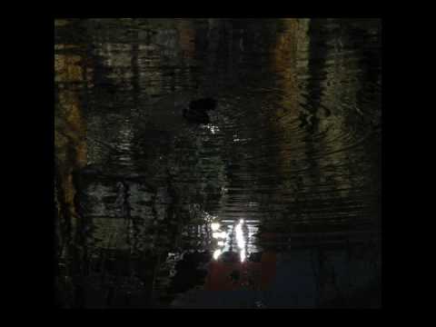 Davi The Producer & Marina Pizzo - Solar System