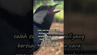 Download lagu burung bersuara merdu #glatik #gelatik #glatikfullisian #gelatikbatugacor #suaraburung #birdsong mp3 Download lagu burung bersuara merdu #glatik #gelatik #glatikfullisian #gelatikbatugacor #suaraburung #birdsong mp3