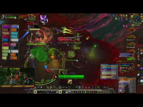 Mythic Cenarius Bird is the word!