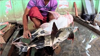 10KG Giant Baghair Fish Cutting in Fish Market Bangladesh