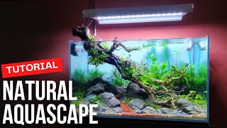 Tutorial membuat Aquascape versi hemat & mewah !!!