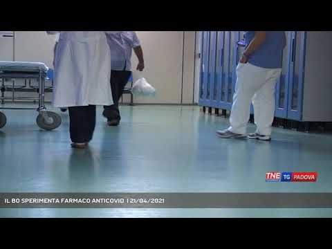 IL BO SPERIMENTA FARMACO ANTICOVID  | 21/04/2021