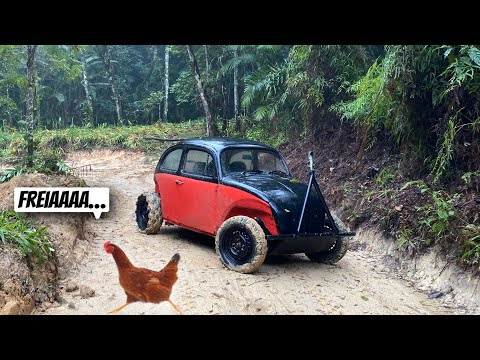 I WENT ON THE MINELA TRAIL WITH THE TRAIL BEETLE AND ALMOST RUN OVER MY DAD'S CHICKENS.
