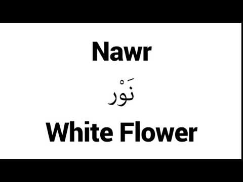 How to Pronounce Nawr! - Middle Eastern Names