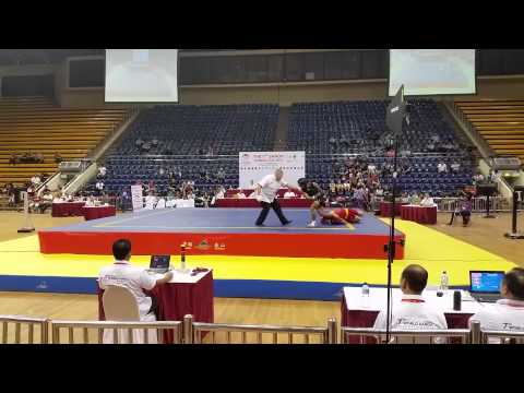 7th wushu sanda world cup 2014