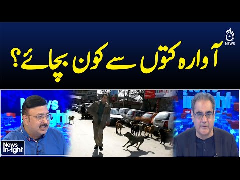 Who should protect us from stray dogs? - News Insight with Amir Zia