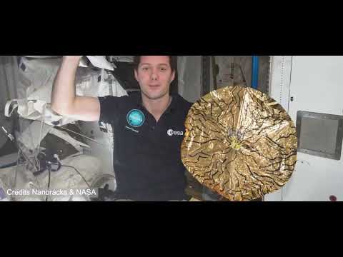 VITAE Project - Trailer 2022