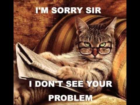 Funny Cat Memes 7
