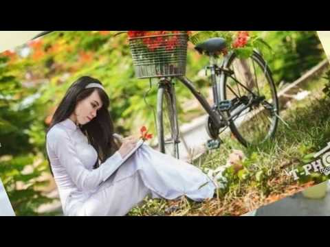 Đường phượng xưa Sheet - Clara Ngo