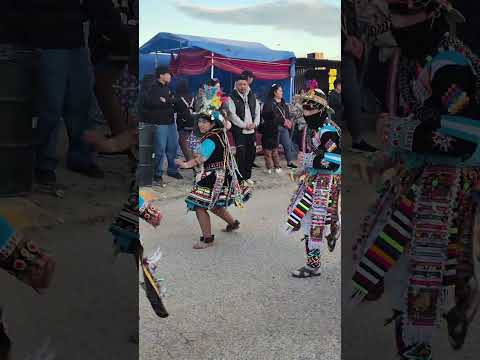 Tinkus Agronomia de Comodoro Rivadavia en Puerto Madryn Chubut Argentina (Agosto 2025) #tinkus