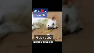 Funny Videos 2021 ● #shorts