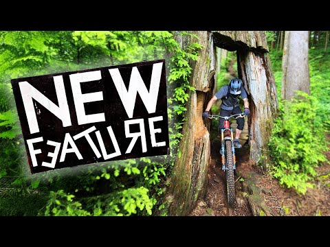 These Trails Are TIGHT