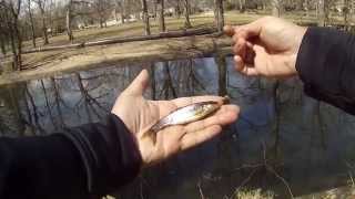 preview picture of video 'Micro-Fishing the Tookany/Tacony Creek (Cheltenham, PA)'